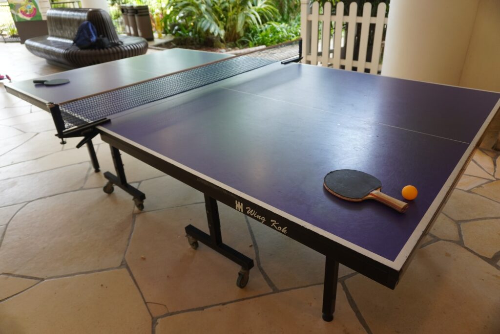 a ping pong table with a paddle on it